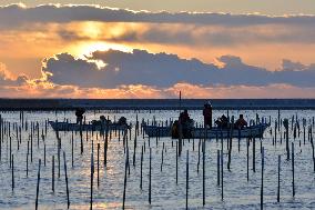 Japan to mark 7th anniv. of 2011 earthquake, tsunami disaster