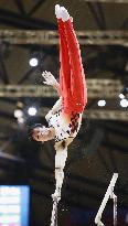 Gymnastics: Kohei Uchimura at world championships