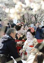 Plum tree festival in Kyoto