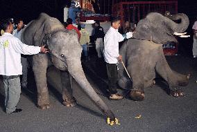(2) 2 Thai young elephants arrive in Japan