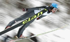 Ski jumping: Austria's Bastian Kaltenboeck wins HTB Cup