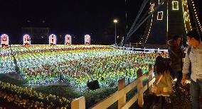 5,000 artificial tulips lit up in Huis Ten Bosch