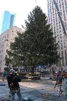 Chritmas tree set up in N.Y.'s Rockfeller Center