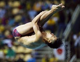 Olympics: Japan's Terauchi in springboard diving