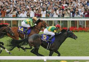 Horse racing: Take, World Premiere walk Kikka-sho red carpet