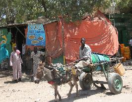 Capital of unrecognized Somaliland