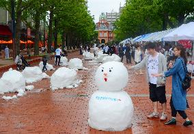 Snow brought to Sapporo for snow utilization promotion