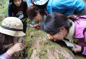 Women observe moss in Nagano mountain range