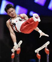Japan's Tanaka finishes 7th in parallel bars