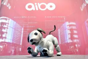 Robot dog Aibo