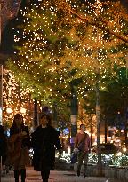 Gingkoes lit up on Osaka's Midosuji boulevard