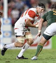 Japan rugby player Luke Thompson