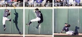 Ichiro Suzuki's super catch