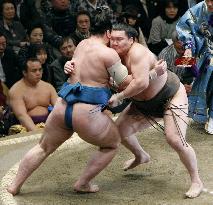 Hakuho rolls over Tochinoshin