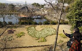 Flower-made rooster and chicks appear at Nara temple for New Yea