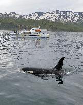 Shiretoko to mark 10th anniv. of world natural heritage listing
