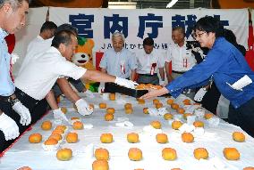 Farmers in western Japan to present persimmons to royal family