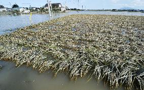 Aftermath of flooding in eastern Japan