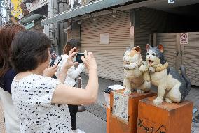 Tokyo snapshot: "Seven Lucky Kittens" in cat-loving shopping area