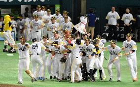 Hawks capture 2nd straight PL title