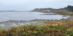 Japan's largest solar power plant completed