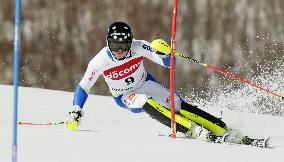 Sweden's Myhrer runner-up in World Cup alpine ski event
