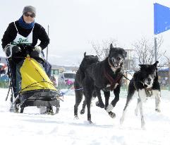Japan's largest dog sled race held