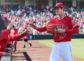 Baseball: Shohei Ohtani