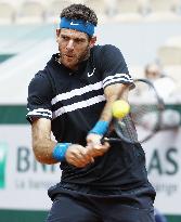 Tennis: Del Potro reaches French Open semifinals