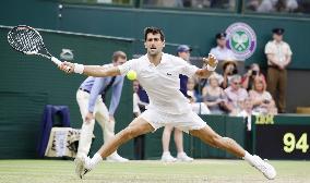 Tennis: Djokovic at Wimbledon