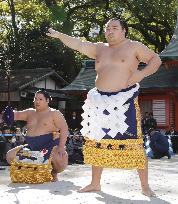 Sumo: Grand champion Kakuryu