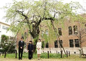 Prince Hisahito's school entrance ceremony