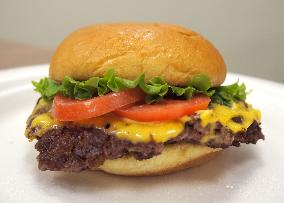 U.S. burger chain Shake Shack to open 1st store in Tokyo in 2016