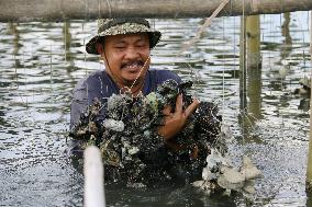 Japanese quake-hit city assists storm-ravaged Filipino fishermen