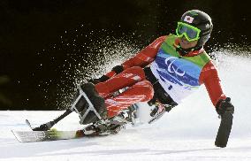 Japan's Morii wins bronze in men's super-G sitting event