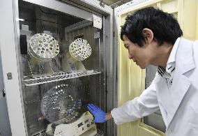 Equipment in Nobel winner Ohsumi's laboratory