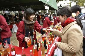 Plum wine world record