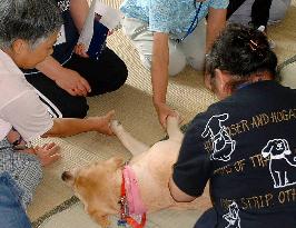 (1)Central Japan hospital introduces animal therapy