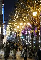 Osaka's Midosuji Boulevard lighting wins Guinness record