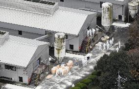 Bird flu virus detected at Kumamoto poultry farm