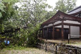 Powerful typhoon in western Japan