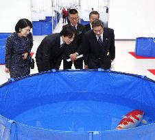Carp fair in Tokyo