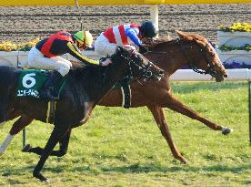 Nakayama Knight wins Kyodo News Service Hai