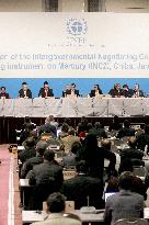 Mercury conference in Japan