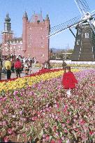 (7)Dutch city Huis Ten Bosch