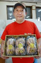 West Japan farm develops giant "shiitake" mushroom