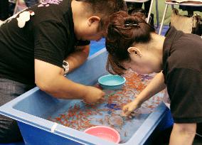 Goldfish scooping competition held in Nara Pref.