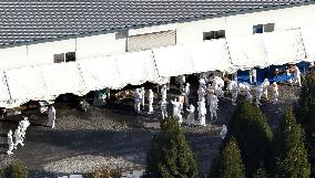 Highly contagious bird flu strain detected at Niigata poultry farm