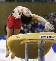 Rio medalist Shirai wins vault