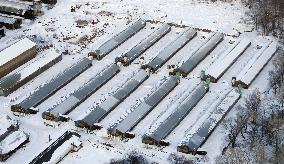 Highly pathogenic bird flu confirmed in Hokkaido